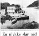 MS ROSSØY stavanger aftenblad 29 JULI 1972            .jpg